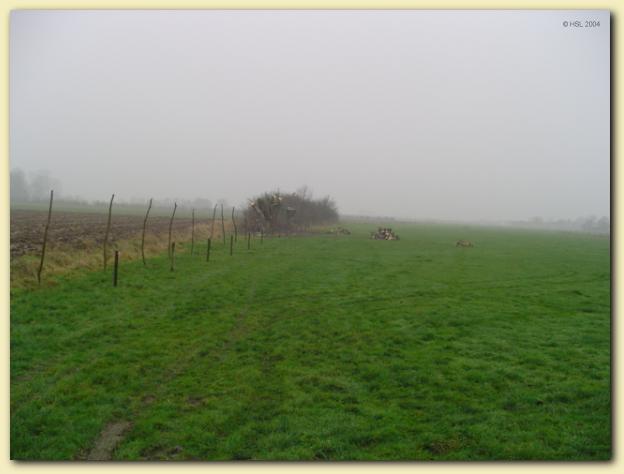 602x451 pixels (26K)